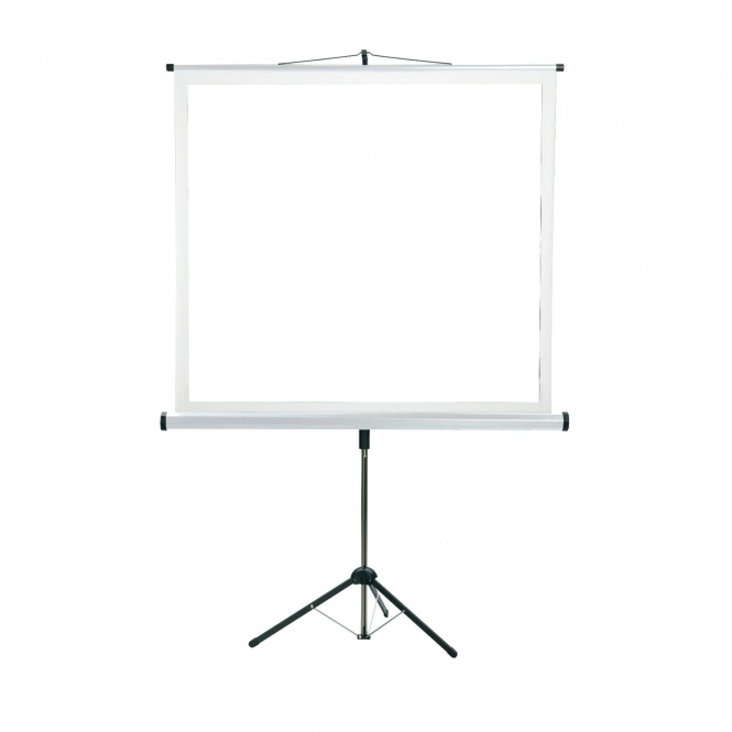 Stativ-Leinwand 200x200 cm Tuch: mattweiß D, 